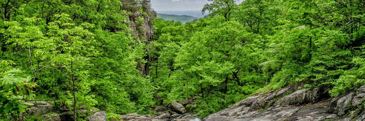 热门麻花影视免费观看美好生活官方版下载-麻花影视免费观看美好生活正版v1.3.5-视频动漫网站入口大全在线免费推荐